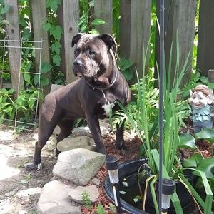 Meet your Posher, Dee